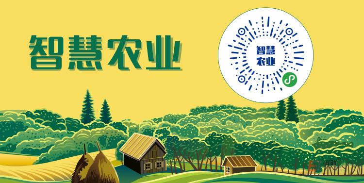 深度结合互联网+,智慧农业迎来新蓝海 深度结合互联网+,智慧农业迎来新蓝海